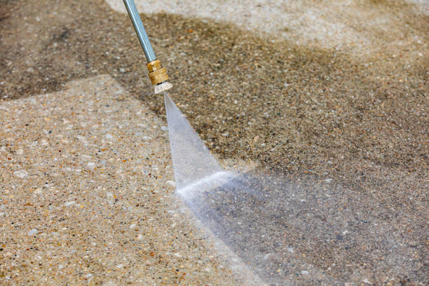 Best Pool Deck Cleaning  in Princevle, IL